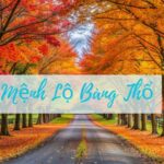 Mệnh Lộ Bàng Thổ