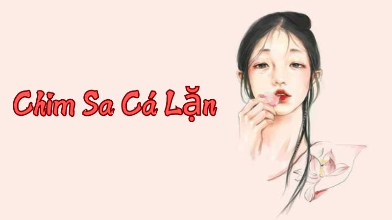 Chim Sa Cá Lặn