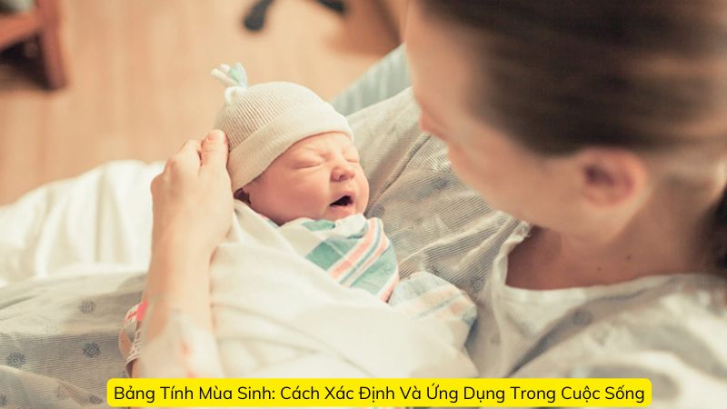 Bảng Tính Mùa Sinh